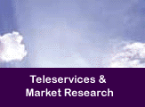 Heading 2 - teleservices & market research: information & database management & technical writing - strategic analysis, market research, computer-aided data collection, statistical reporting, tab & banner & report writing